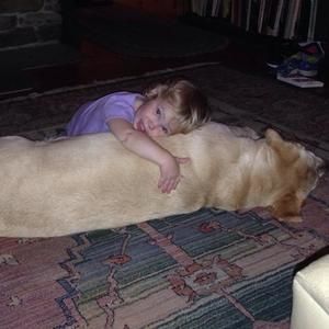 Meet your Posher, Carole